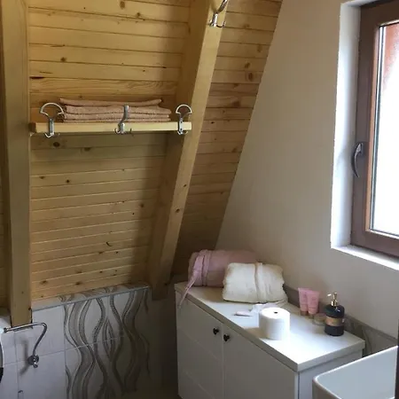 Banjska Brvnara 別荘