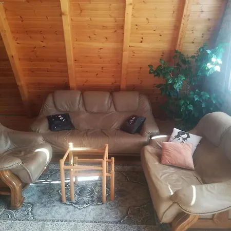 Banjska Brvnara 別荘 *