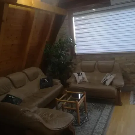 Banjska Brvnara 別荘