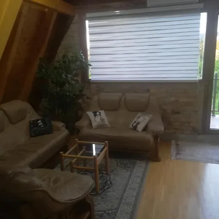 Banjska Brvnara 別荘 *