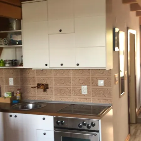 Banjska Brvnara 別荘