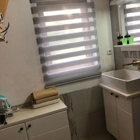 Banjska Brvnara 別荘