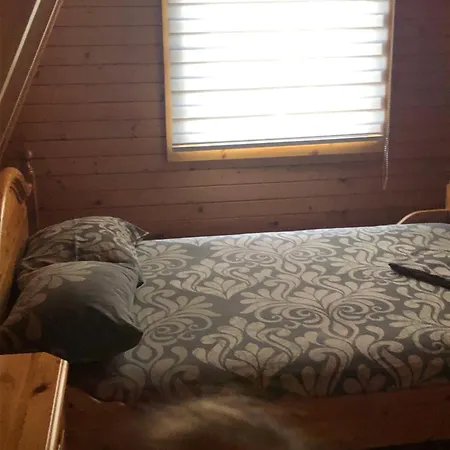 別荘 Banjska Brvnara