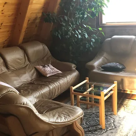 Banjska Brvnara 別荘 *